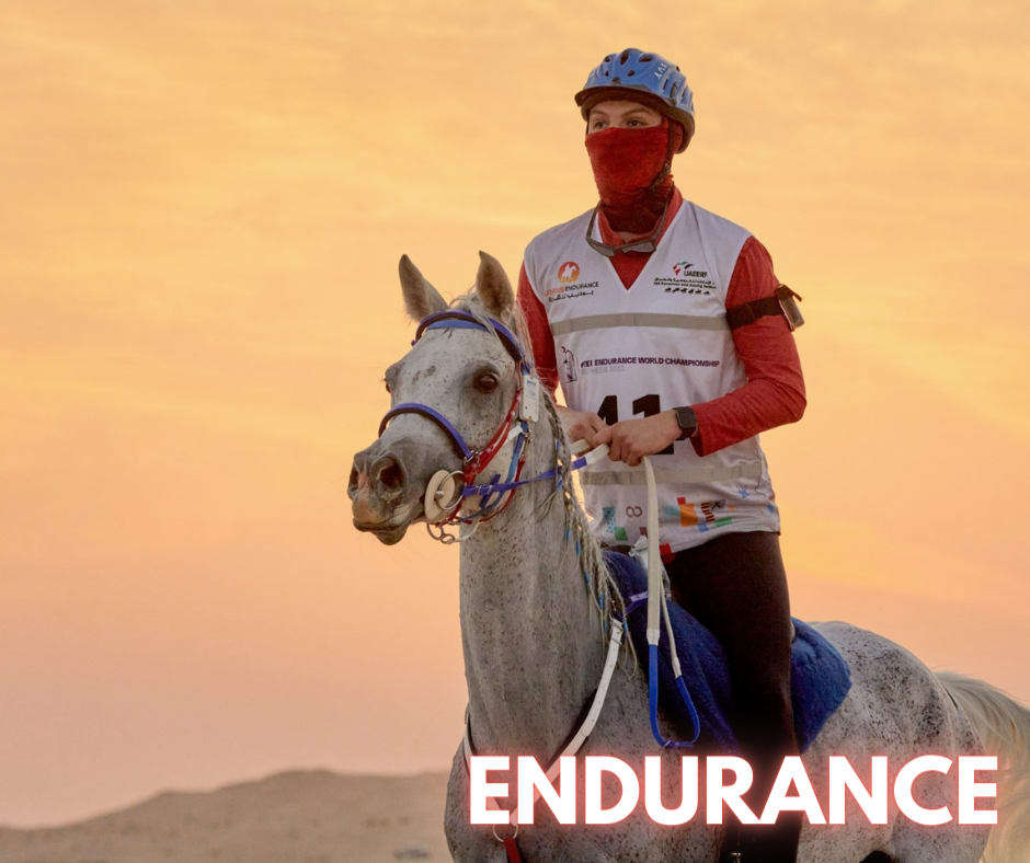 Categorie endurance